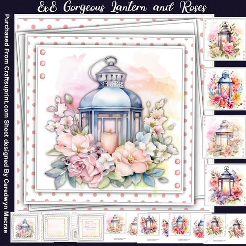 8x8 Mini Kit, Beautiful Lantern and Roses