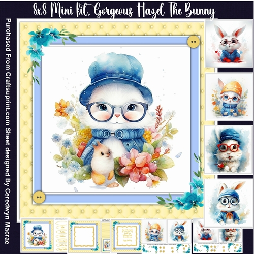 8x8 Mini Kit Gorgeous Shanti Cat