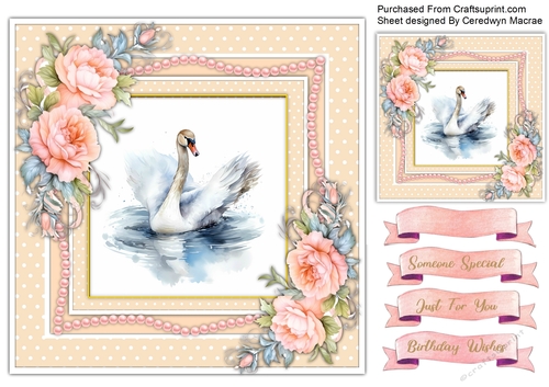 8x8 , Beautiful Rose Swan