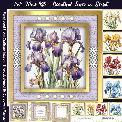 8x8 Mini Kit, Beautiful Irises on Script