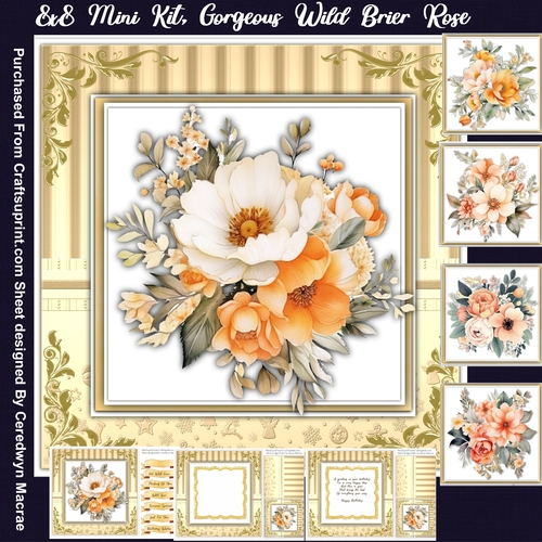 8x8 Mini Kit, Gorgeous Wild Brier Roses