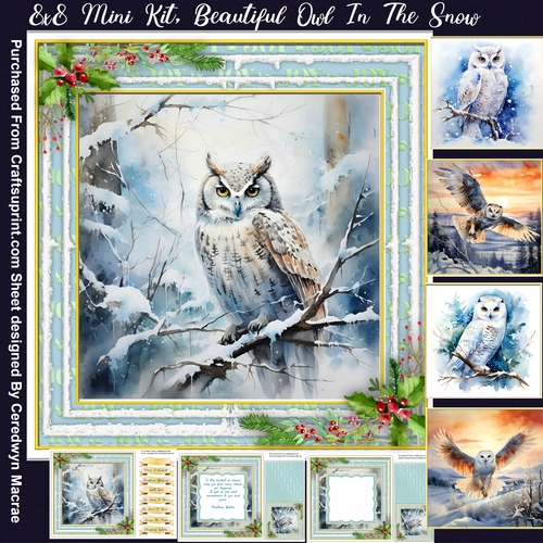 8x8 Mini Kit, Beautiful Owls in The Snow