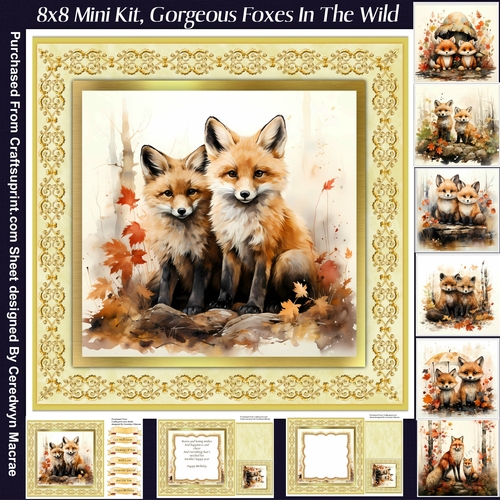 8x8 Mini Kit, Gorgeous Foxes In The Wild