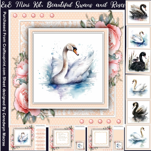 8x8 Mini Kit, Beautiful Swans and Rose