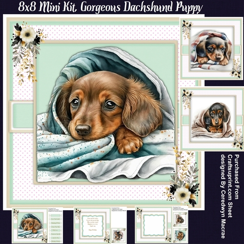 8x8 Mini Kit, Gorgeous Dachshund Puppy 