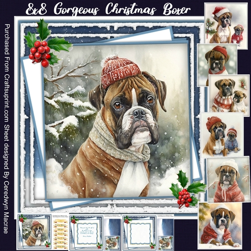 8x8 Mini Kit, Gorgeous Christmas Boxer 1