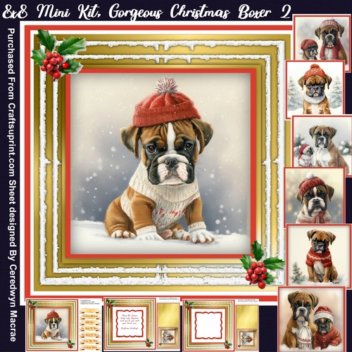 8x8 Mini Kit, Gorgeous Christmas Boxer 2