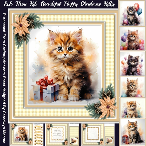 8x8 Mini Kit, Beautiful Fluffy Christmas Kitty