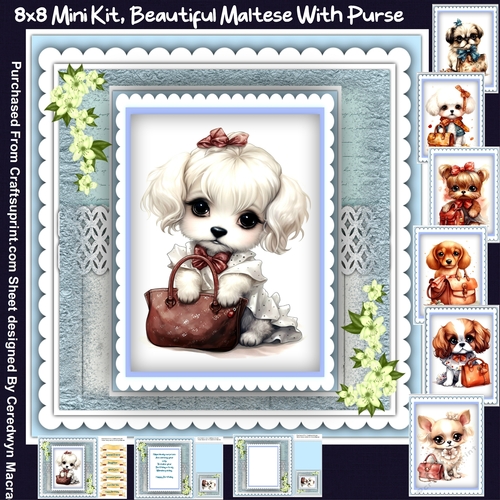 8x8 Mini Kit, Beautiful Maltese With Purse