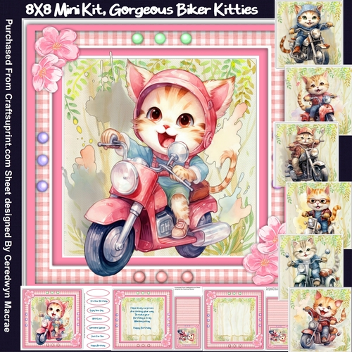 8x8 Mini Kit, Gorgeous Biker Kittie