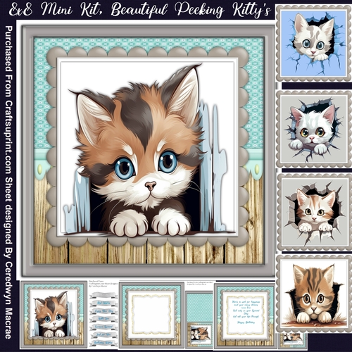 8x8 Mini Kit, Beautiful Peeking Kittys