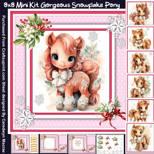 8x8 Mini Kit, Gorgeous Snowflake Pony