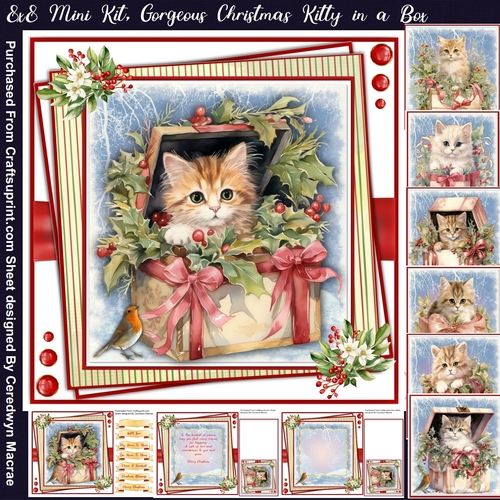 8x8 Mini Kit, Gorgeous Christmas Kittys in a Box