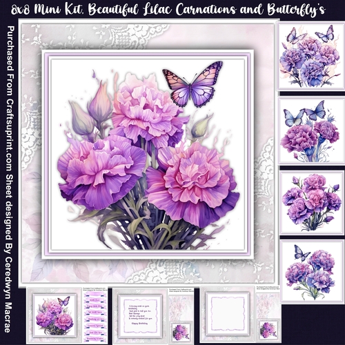 8x8 Mini Kit, Beautiful Lilac Carnations and Butterflys
