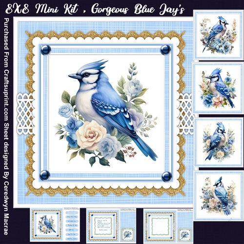 8x8 Mini Kit , Gorgeous  Blue Jays