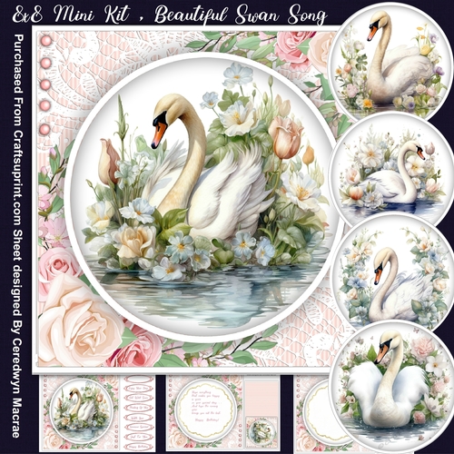 8x8 Mini Kit, Beautiful Swan Song