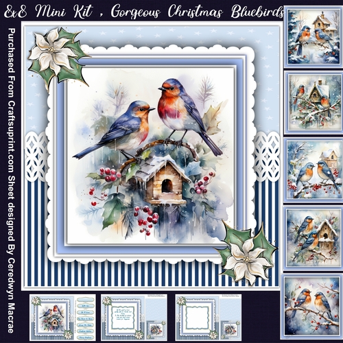 8x8 Mini Kit, Gorgeous Christmas Bluebirds