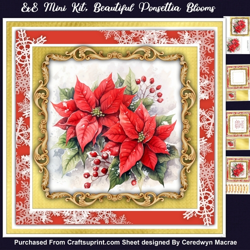 8x8 Mini Kit, Beautiful Poinsettia Blooms