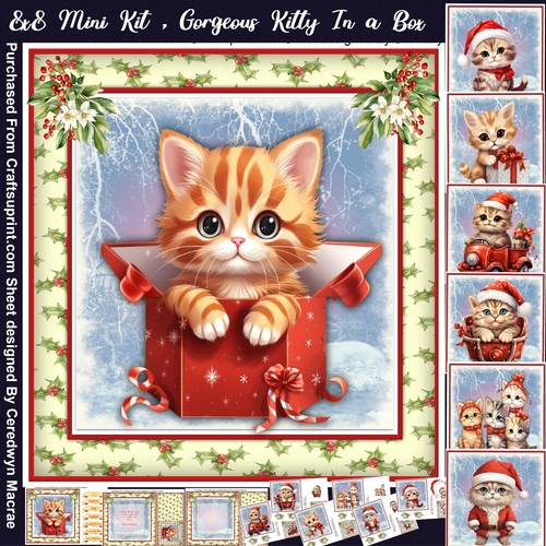 8x8 Gorgeous Kitty in a Box