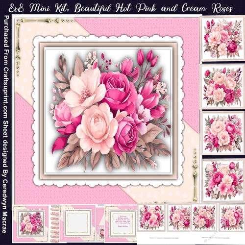 8x8 Mini Kit, Beautiful Hot Pink and Cream Roses