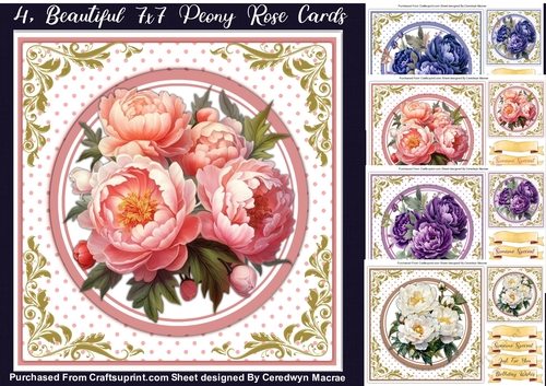 4, Beautiful 7x7 Peony Rose Cards 