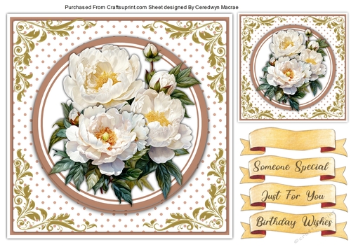 7x7  Peony Rose Quick Cards 