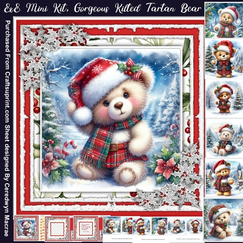 8x8 Mini Kit, Gorgeous Kilted Tartan Bear