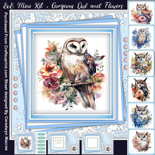 8x8 Mini Kit, Gorgeous Owls in Flowers