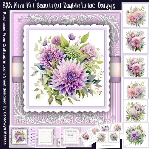 8x8 Mini Kit, Beautiful Double Lilac Daisys