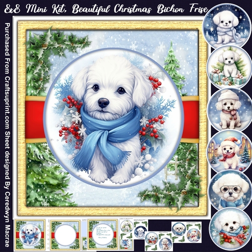 8x8 Mini Kit, Beautiful Christmas Bichon Friese