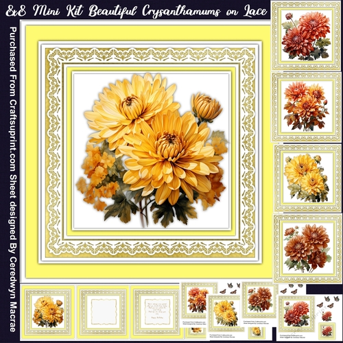 8x8 Mini Kit, Beautiful Chrysanthemums on Lace