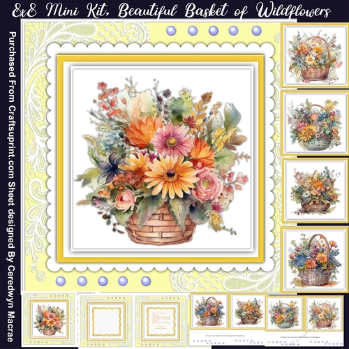 8x8 Mini Kit, Beautiful Basket of Wilflowers