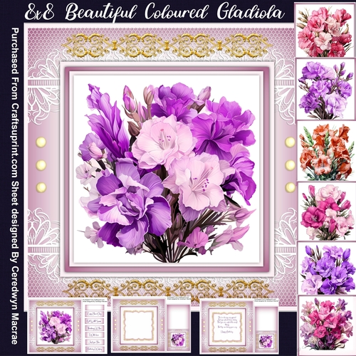 8x8 Mini Kit, Beautiful Coloured Gladiola
