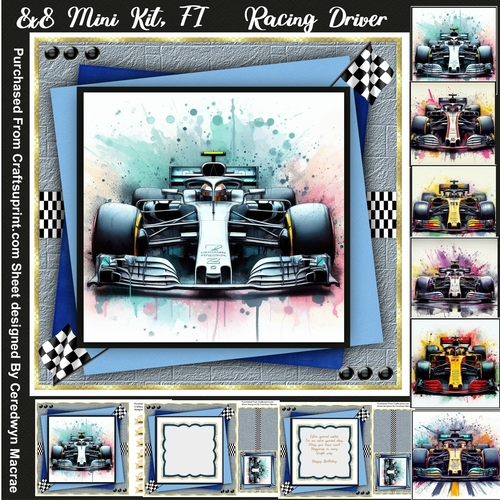 8x8 Mini Kit, FI Racing Driver