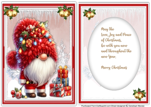 A5 Gorgeous Christmas Gnome with Verse Insert 3