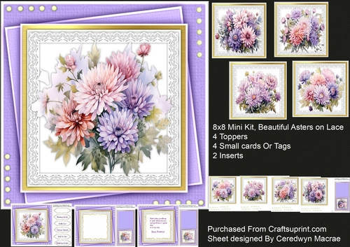 8x8 Mini Kit, Beautiful Asters On Lace 