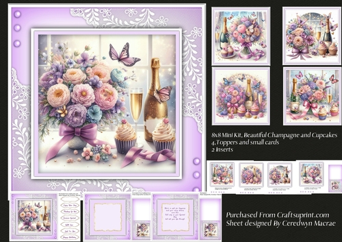 8x8 Mini Kit, Beautiful Champagne and cupcakes
