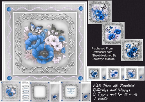 8x8 Mini Kit, Beautiful Butterfly,s and Blue Poppies