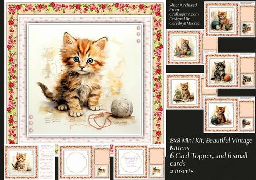 8x8 Mini Kit, Beautiful Vintage Kittens