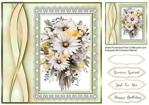 8x8 Beautiful White Daisys