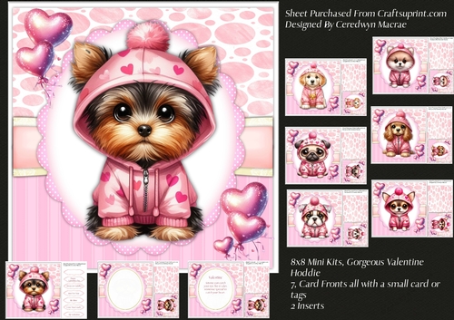 8x8 Mini Kit, Gorgeous Valentine Hoodies