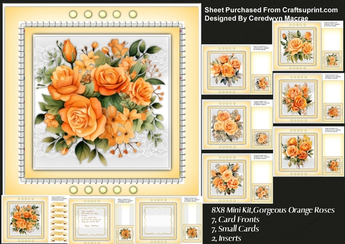 8x8 Mini Kit , Gorgeous Orange Roses