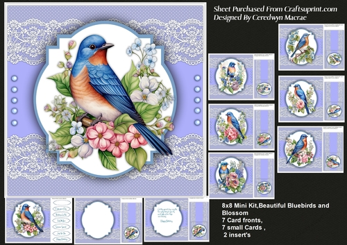 8x8 Mini Kit, Beautiful Bluebirds and Bloosom