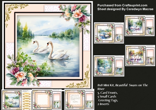 8x8 Mini Kit, Beautiful Swans on The River