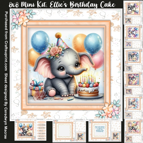 8x8 Mini Kit, Ellies Birthday Cake 