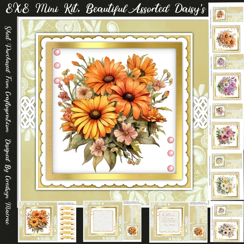 8x8 Mini Kit Beautiful Coloured Daisys