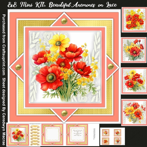 8x8 Mini Kit Beautiful Anemones on Lace