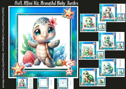 8x8 Mini Kit, Beautiful Baby Turtles