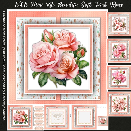 8x8 Mini Kit, Beautiful Soft Pink Roses