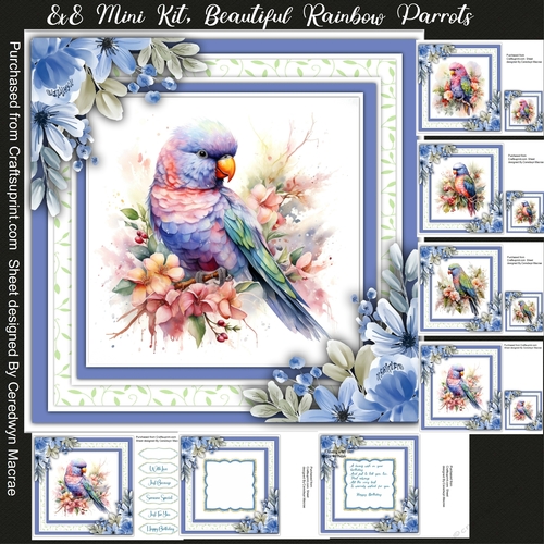 8x8 Mini kit Beautiful Rainbow Parrots